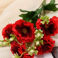 Букет "Бегония Самба" 4,5х28 см, микс Букет "Бегония Самба" 4,5х28 см, микс