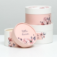 Набор шляпных коробок 3 в 1 "Little dream", завальцованная, 16 х 10, 14 х 9, 13 х 8,5 см Набор шляпных коробок 3 в 1 "Little dream", завальцованная, 16 х 10, 14 х 9, 13 х 8,5 см