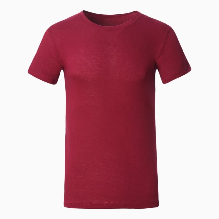 Футболка мужская, цвет бордовый, размер 48 Футболка мужская, цвет бордовый, размер 48