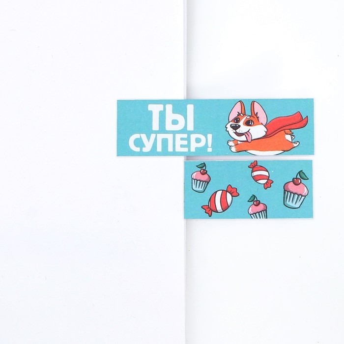 Набор стикеров закладок &laquo;Ты супер!&raquo;, 9 шт, 30 л
