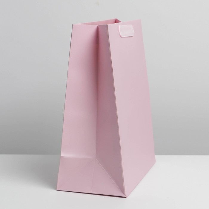 Пакет подарочный ламинированный, упаковка, &laquo;Розовый&raquo;, MS 18 х 23 х 10 см