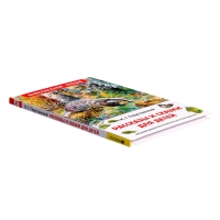 Книга «Рассказы и сказки для детей», Паустовский К.Г., внеклассное чтение Книга «Рассказы и сказки для детей», Паустовский К.Г., внеклассное чтение