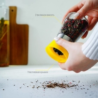 Мельница для специй Доляна «Модерн», 180 мл, 6,5×13 см, цвет жёлтый Мельница для специй Доляна «Модерн», 180 мл, 6,5×13 см, цвет жёлтый