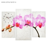 Часы настенные, модульные, серия: Цветы, "Розовые цветки орхидеи", 60х80 см Часы настенные, модульные, серия: Цветы, "Розовые цветки орхидеи", 60х80 см