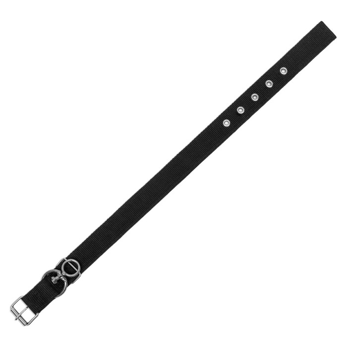 Ошейник двухслойный с вертлюгом, 58 х 3 см, полиэстер, черный Ошейник двухслойный с вертлюгом, 58 х 3 см, полиэстер, черный