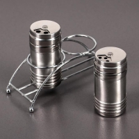 Набор для специй из нержавеющей стали на подставке &laquo;Металлик&raquo;, 100 мл, 2 шт, цвет серебряный