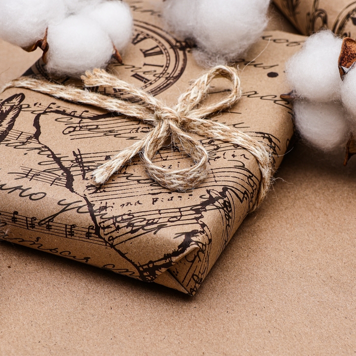 Бумага упаковочная, крафт Бумага упаковочная, крафт "Путешествие", 70 х 100 см, 1 лист