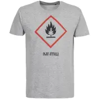 Футболка &laquo;Жар-птица&raquo;, серый меланж, размер L