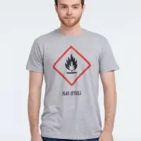 Футболка &laquo;Жар-птица&raquo;, серый меланж, размер L