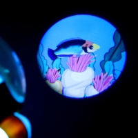 Проектор &laquo;Батискаф&raquo;, свет