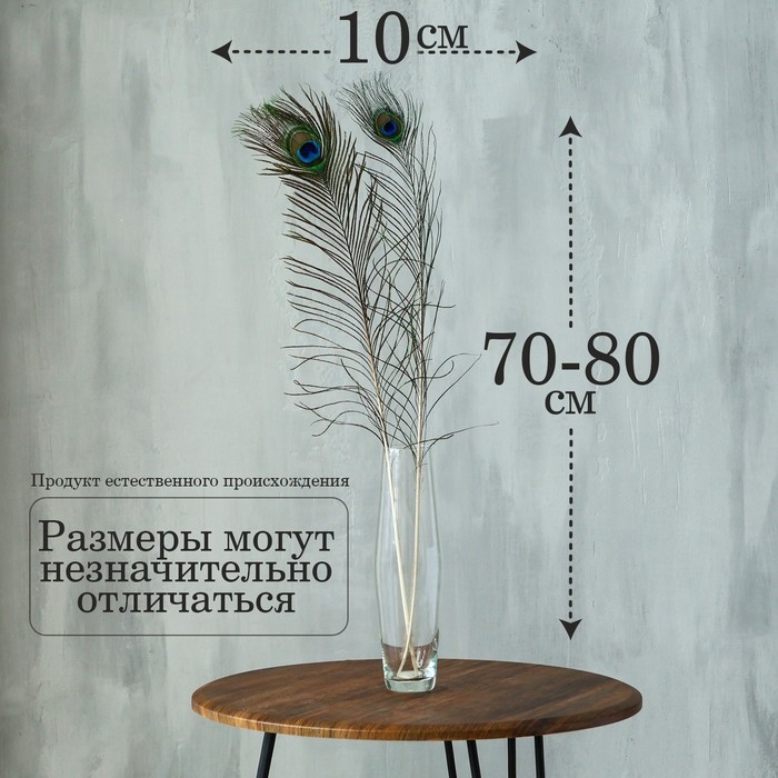 Перо павлина для декора 1 шт., размер &mdash; от 70 до 80 см