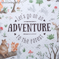 Покрывало детское Этель 1,5 сп "Adventure", 145х210 см, микрофибра