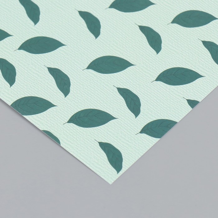 Бумага для скрапбукинга "Листья авокадо" плотность 180 гр набор 10 шт 15,5х17 см