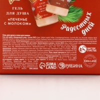 Подарочный набор косметики &laquo;Тепла и уюта!&raquo;, гель для душа и пена для ванны, 2 х 100 мл, Новый Год