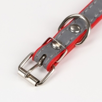 Ошейник с косточками светоотражающий, 37 х 1,3 см, ОШ 26-33, красный Ошейник с косточками светоотражающий, 37 х 1,3 см, ОШ 26-33, красный