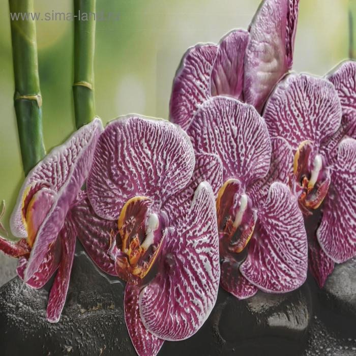 Кухонный фартук "Орхидея ванда", 1000x600x0,5