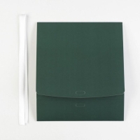 Коробка подарочная складная, упаковка, &laquo;Изумрудная&raquo;, 20 х 18 х 5 см