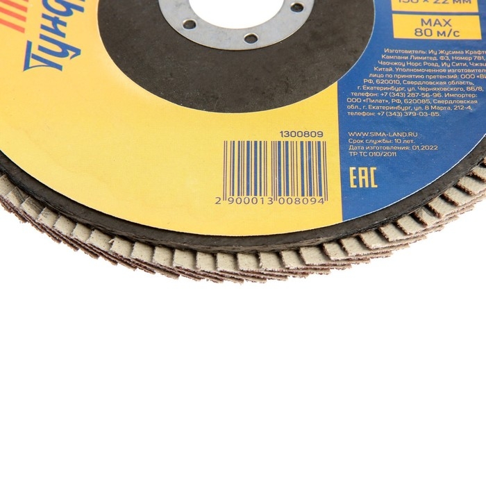 Круг лепестковый торцевой ТУНДРА, 150 х 22 мм, Р60 Круг лепестковый торцевой ТУНДРА, 150 х 22 мм, Р60