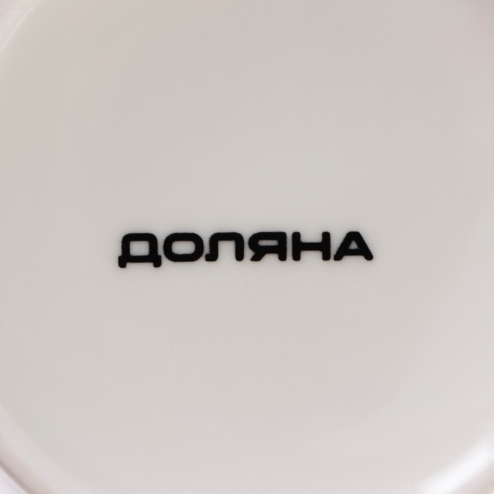 Кружка фарфоровая Доляна «Одуванчики», 300 мл Кружка фарфоровая Доляна «Одуванчики», 300 мл