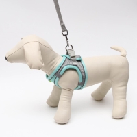 Комплект с мягкой шлейкой, быстросъемный, S, поводок 150 х 1,5 см, ОШ 33-36 см, ОГ 35-40 см, бирюз