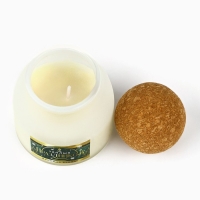 Свеча новогодняя, аромат манящая ваниль , 9 х 6,5 см Свеча новогодняя, аромат манящая ваниль , 9 х 6,5 см