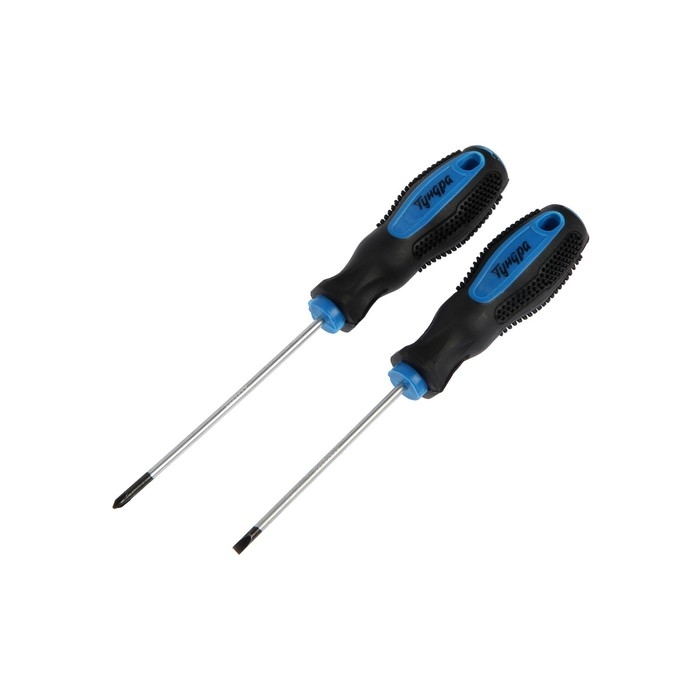 Набор отверток ТУНДРА, сатин, магнит, 2К рукоятки, PH0 и SL3 х 75 мм, 2 шт. Набор отверток ТУНДРА, сатин, магнит, 2К рукоятки, PH0 и SL3 х 75 мм, 2 шт.