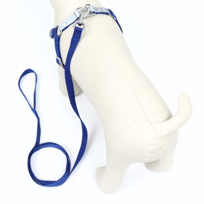 Комплект Sport+, S, поводок 150 x 1,5 см, ОШ 39-41 см, ОГ 44-48 см, вес животного 7-13 кг, синий  96