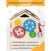 Бизидом &laquo;Малыш&raquo;