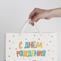 Пакет ламинированный вертикальный &laquo;Динозавр: С днём рождения&raquo;, M 26 х 30 х 9 см