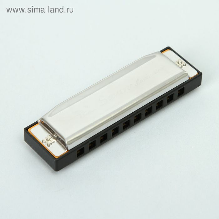 Губная гармошка Swan SW1020-9 диатоническая