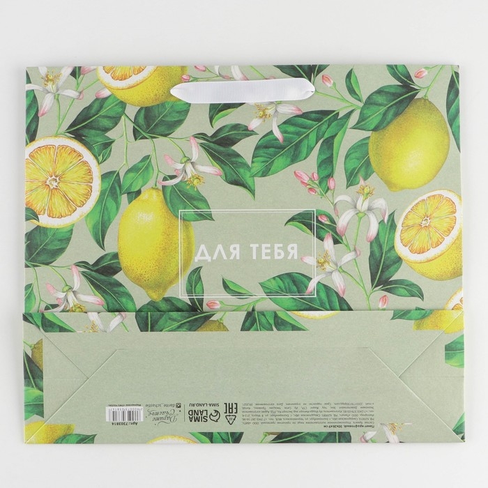 Пакет подарочный крафтовый горизонтальный, упаковка, &laquo;Лимончики&raquo;, M 30 х 26 х 9 см