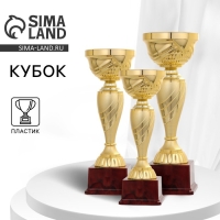 Кубок 120С, наградная фигура, золото, подставка пластик, 29,5 × 10 × 9,5 см Кубок 120С, наградная фигура, золото, подставка пластик, 29,5 × 10 × 9,5 см