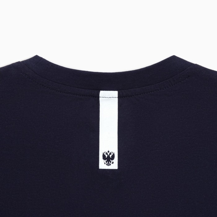 Лонгслив President, XL, синий, 100% хлопок, кул.гладь 150 г/м2