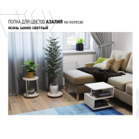 Полка для цветов Персона-5, на колёсах, Ясень шимо светлый Полка для цветов Персона-5, на колёсах, Ясень шимо светлый