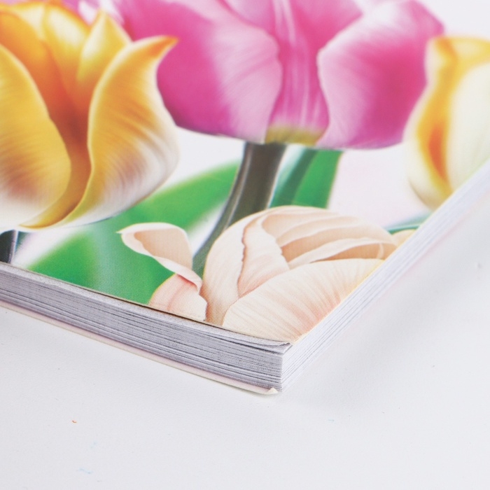 Планер с отрывными листами, 50 л. 17 х 9см Планер с отрывными листами, 50 л. 17 х 9см "8 Марта"