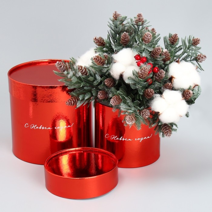 Набор коробок 2в1 круглые «С Новым годом!», красный металлик, 12 х 12, 15 х 15 см, Новый год Набор коробок 2в1 круглые «С Новым годом!», красный металлик, 12 х 12, 15 х 15 см, Новый год