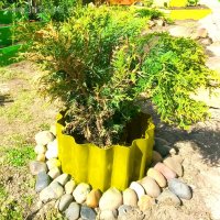 Ограждение для клумбы, 110 &times; 24 см, жёлтое, &laquo;Волна&raquo;, Greengo