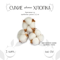 Сухие цветы хлопка, набор 3 шт., размер 1 шт. 6 &times; 6 см, цвет белый