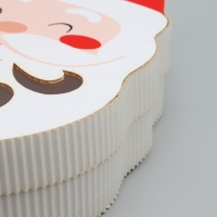 Коробка подарочная &laquo;Дедушка Мороз&raquo;,16.6 х 25.4 х 5 см, Новый год