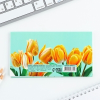 Планер с отрывными листами, 50 л. 17х9см «Тюльпаны» Планер с отрывными листами, 50 л. 17х9см «Тюльпаны»