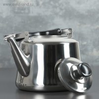 Чайник из нержавеющей стали «Чайковский», 3 л, цвет хромированный Чайник из нержавеющей стали «Чайковский», 3 л, цвет хромированный