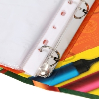 Папка школьная на кольцах «Портфолио школьника», 6 листов-разделителей, 24,5 х 32 см. Папка школьная на кольцах «Портфолио школьника», 6 листов-разделителей, 24,5 х 32 см.