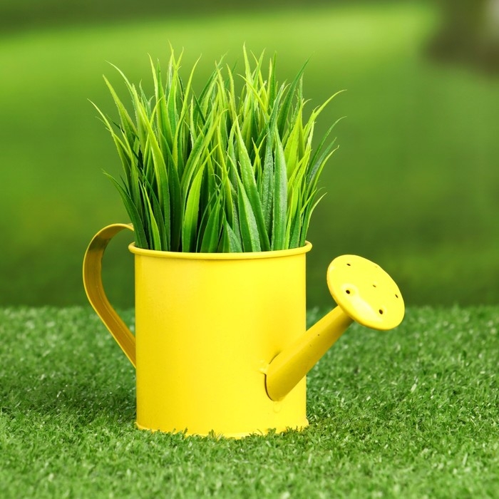 Кашпо Кашпо "Лейка" МИКС, 13х6х7см