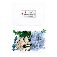 Набор для творчества &laquo;Набор сухоцветов&raquo;, малый, голубой