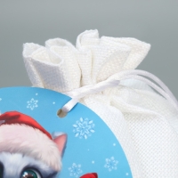 Мешок подарочный «Дружочек», 20 х 30 см +/- 1.5 см, Новый год Мешок подарочный «Дружочек», 20 х 30 см +/- 1.5 см, Новый год