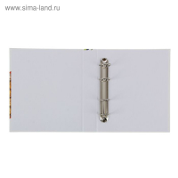 Альбом для монет "Современные монеты", 230 х 270 мм, Optima, без листов Альбом для монет "Современные монеты", 230 х 270 мм, Optima, без листов