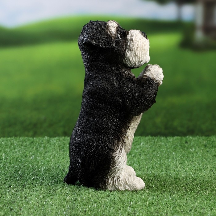 Садовая фигура Садовая фигура "Попрошайка Шнауцер" 9х10х21см