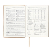 Ежедневник недатированный А6+, 160 листов ESCALADA, мягкая обложка из искусственной кожи, тиснение фольгой, ляссе, кремовый блок 70г/м2, золотой