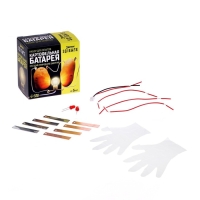 Набор для опытов &laquo;Картофельная батарейка&raquo;