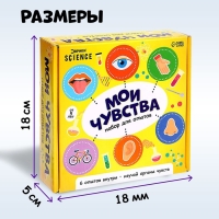 Набор для опытов &laquo;Мои чувства&raquo;